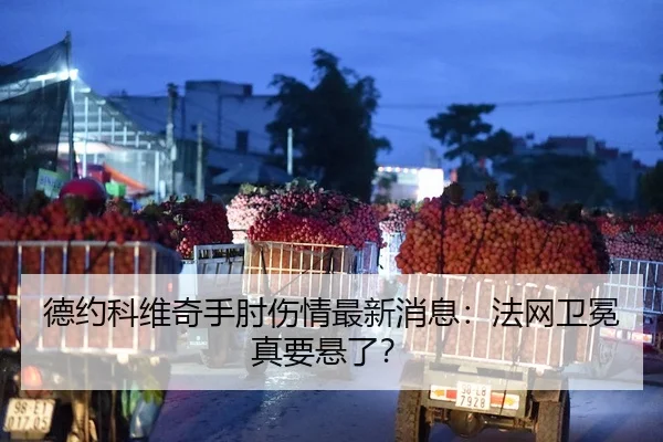 德约科维奇手肘伤情最新消息：法网卫冕真要悬了？